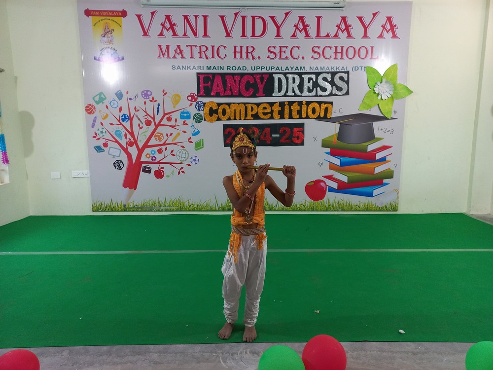 Fancy Dress Competition  (I- Std)- 2024-25
